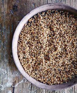 Why You Should Sprout Your Grains and Seeds Image